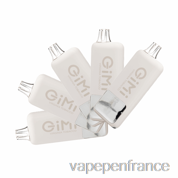 [Paquet De 5] Stylo Vape Jetable Flum Gimi 8500